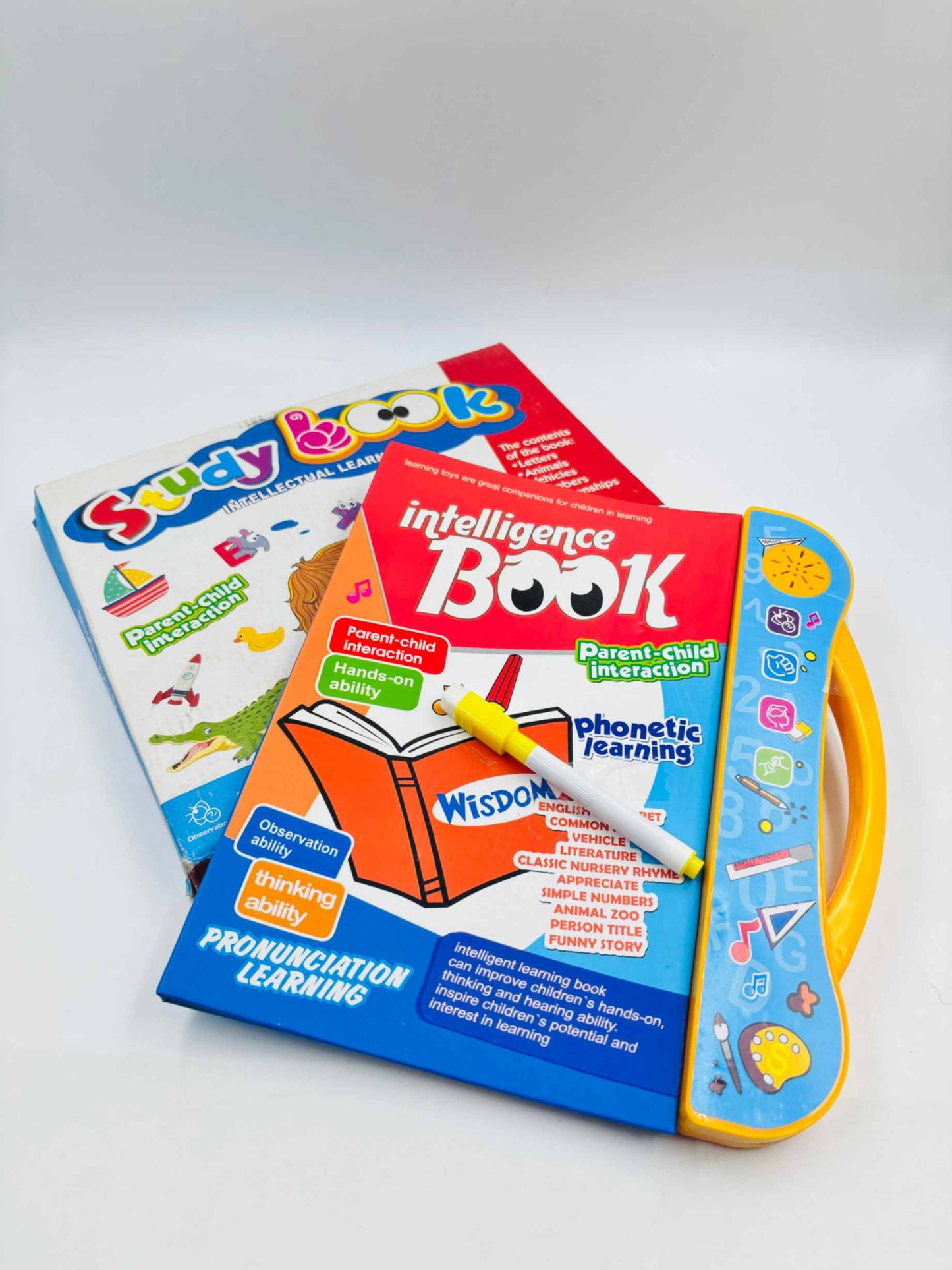 ToyCastle's Early Home Schooling Touch & Learn Sound Book